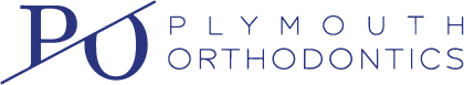 vivid-partner-plymouth-logo